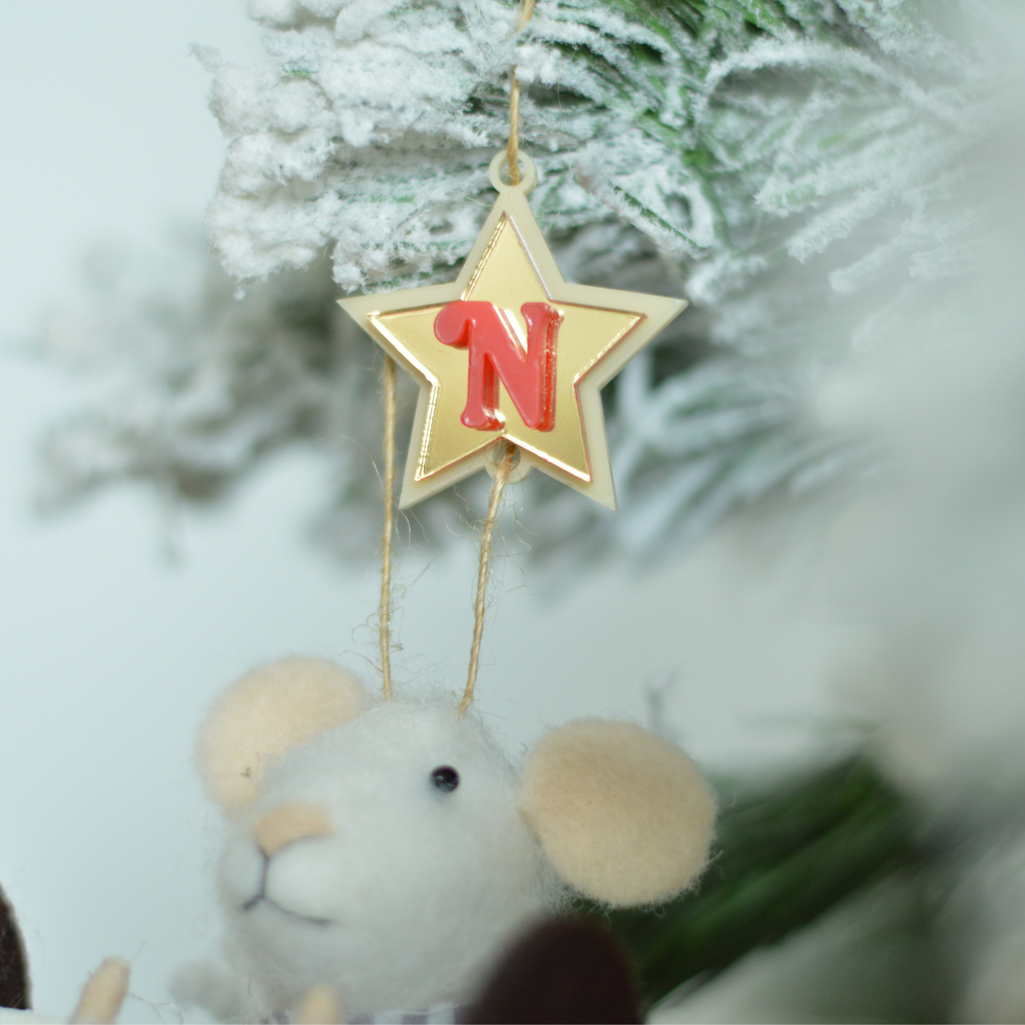 The Little Strong Mouse – Personalized Edition